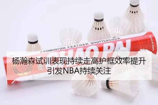 杨瀚森试训表现持续走高护框效率提升引发NBA持续关注